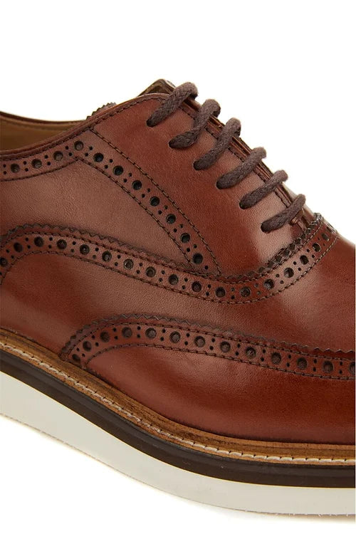 Madasat Brown Leather Casual Shoes - 523 |