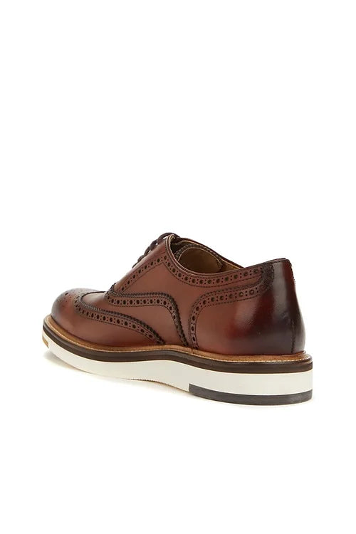 Madasat Brown Leather Casual Shoes - 523 |